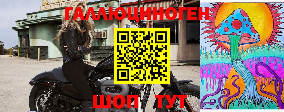 Новодвинск  цена   Вход с VPN  Псилоцибиновые грибы ЛСД  Галлюциногенные грибы MAGIC MUSHROOMS 