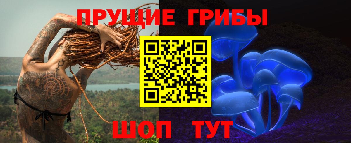 Псилоцибиновые грибы прущие грибы Новодвинск